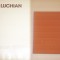 IOAN ALEXANDRU - ALBUM LUCHIAN