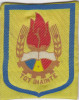 Emblema , Pionieri - Tot Inainte (se poate prinde de costum cu 2 ace), Romania de la 1950