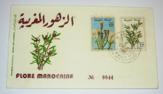 FDC - plic prima zi - NATURA - FLORA MAROCANA - MAROC - 1980 - 2+1 gratis toate produsele la pret fix - CHA941 foto