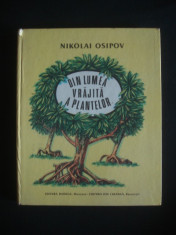 NIKOLAI OSIPOV - DIN LUMEA VRAJITA A PLANTELOR {1988} foto