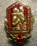 I.558 INSIGNA CEHIA PENTRU CONSOLIDAREA PRIETENIEI 45/32mm