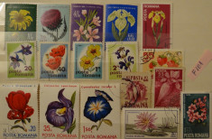 Flora - Lot F101 - Lot timbre Romania - stampilate foto