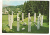 #carte postala(marca fixa) - MARAMURES-Moisei-Monumentul eroilor