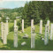 #carte postala(marca fixa) - MARAMURES-Moisei-Monumentul eroilor