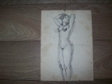 Studiu semnat,Az,1982,Lunca Ilvei.Nud.Dimensiuni:29,5/21,5cm., Carbune, Realism