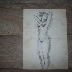 Studiu semnat,Az,1982,Lunca Ilvei.Nud.Dimensiuni:29,5/21,5cm.