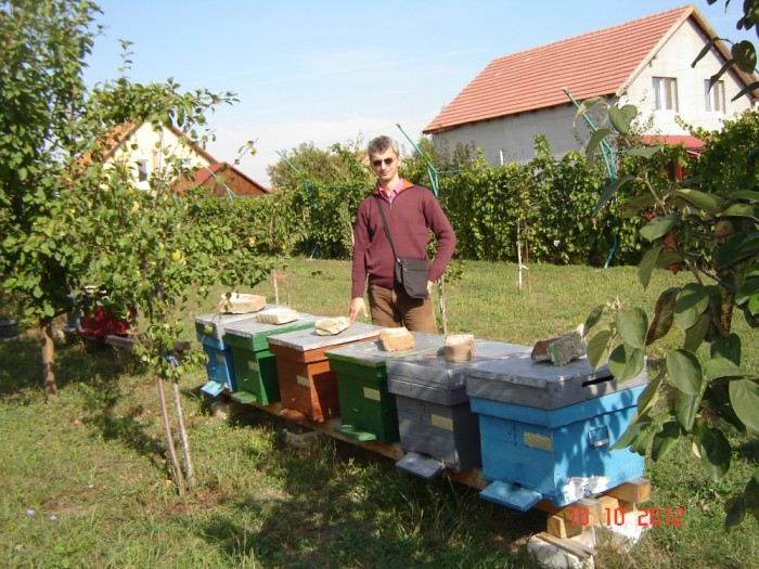 Vand miere poliflora - Timisoara