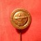 Insigna Campionat Mondial TIR Oslo 1952 ,d= 1,8 cm ,alama