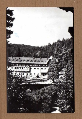 BORSEC HARGHITA 1964 foto