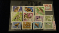 Timbre fauna - pasari - Lot F301 - Lot timbre Romania stampilate, deparaiate foto