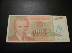 Yugoslavia / Iugoslavia 5000 dinari (dinara) 1993 foto