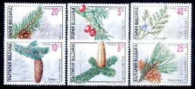 C1981 - Bulgaria 1996 - cat.nr.3658-63 neuzat,perfecta stare foto