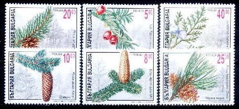 C1981 - Bulgaria 1996 - cat.nr.3658-63 neuzat,perfecta stare