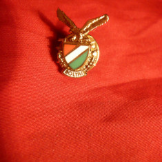 Insigna Academia Tehnica Militara Bolyai Ungaria , h= cm ,cu buton