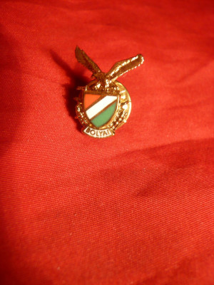 Insigna Academia Tehnica Militara Bolyai Ungaria , h= cm ,cu buton foto