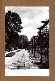 BUZIAS TIMIS PARCUL 1960