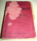 DICTIONAR ENGLEZ - ROMAN VECHI ( Anul 1913 )