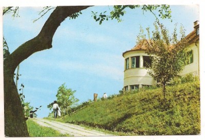 #carte postala(ilustrata) - BAZNA foto