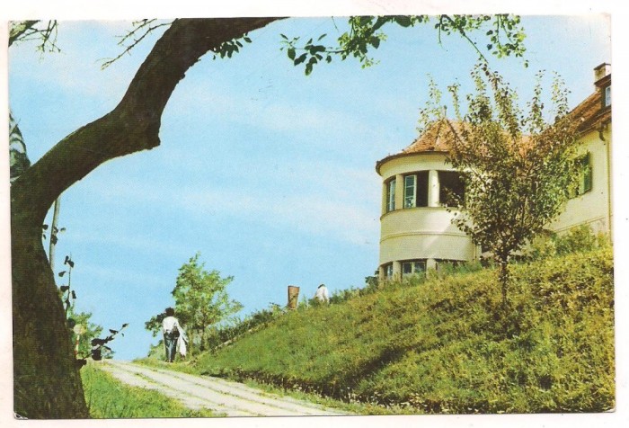 #carte postala(ilustrata) - BAZNA