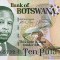 BOTSWANA █ bancnota █ 10 Pula █ 2002 █ P-24a █ UNC █ necirculata