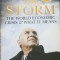 THE STORM THE WORLD ECONOMIC CRISIS AND WHAT IT MEANS - Vince Cable