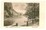 259 - TURNU ROSU, Sibiu, defileul Oltului - old postcard - unused - 1917, Necirculata, Printata