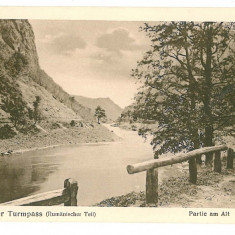 259 - TURNU ROSU, Sibiu, defileul Oltului - old postcard - unused - 1917