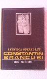 ESTETICA OPEREI LUI CONSTANTIN BRANCUSI - ION MOCIOI