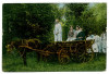 2090 - ETHNIC, Wedding procession, port popular - old postcard - unused, Necirculata, Printata