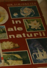 Ion Simionescu - Din ale naturii foto