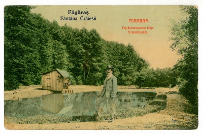 975 - Brasov, FAGARAS, Fantana Craiesii - old postcard - unused foto