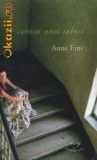 Cenusa unei iubiri - de Anne Fine, Rao