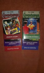 GOOSEBUMPS - CARTILE CARE ITI DAU FIORI / R.L.Stine 6 vol. foto