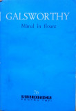 MARUL IN FLOARE - Galsworthy