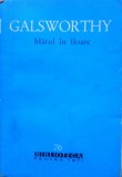 Cumpara ieftin MARUL IN FLOARE - Galsworthy