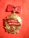 Insemn Castigator Intrecere Socialista 1973 ,URSS , h= 6 cm