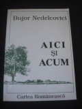 BUJOR NEDELCOVICI - AICI SI ACUM