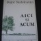 BUJOR NEDELCOVICI - AICI SI ACUM