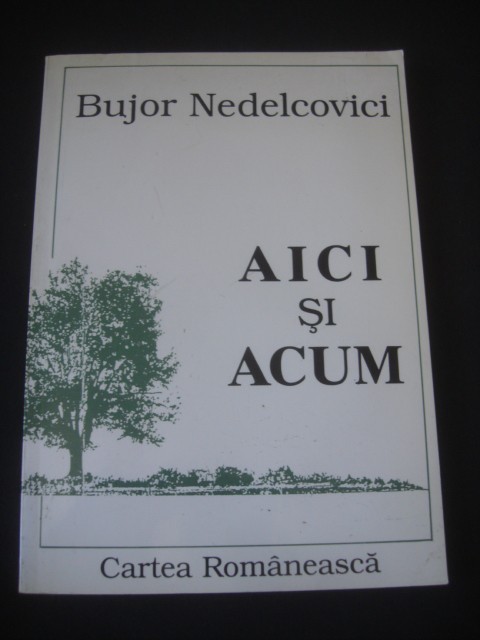 BUJOR NEDELCOVICI - AICI SI ACUM