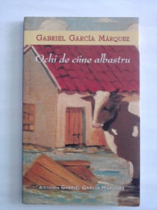 Ochi de caine albastru - Gabriel Garcia Marquez / R5P3F foto