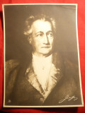 Fotografie mare Johann Wolfgang von Goethe , 15 x 19,8 cm