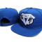 Sapca Diamond Snapback Reglabila LICHIDARE STOC