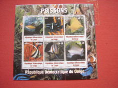 Congo 2000 fauna marina 2 kleib. MNH foto