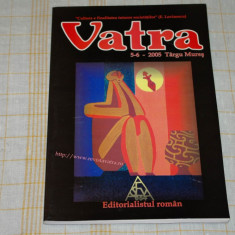 Revista Vatra - nr. 5 - 6 / 2005 - Editorialistul roman