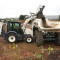 Buldoexcavator TEREX - Anglia NOU - Super Oferta!