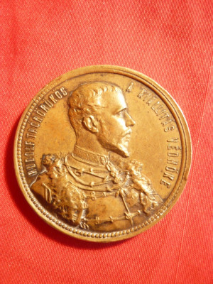 Medalia Expozitiei Nationale 1885 Budapesta ,Patron Print Rudolf ,Insula Knops foto
