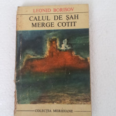 LEONID BORISOV - CALUL DE SAH MERGE COTIT