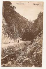 Zarnesti Valea raului 1924 foto