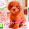 Nintendogs And Cats Toy Poodle Nintendo 3Ds