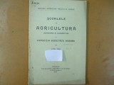 Scolile de agricultura inferioare la expozitia societatii agrare Bucuresti 1904